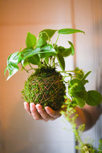 07.27.2025 (2pm)- Kokedama Workshop