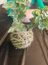 07.27.2025 (2pm)- Kokedama Workshop