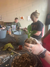 07.27.2025 (2pm)- Kokedama Workshop