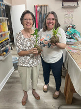 07.27.2025 (2pm)- Kokedama Workshop