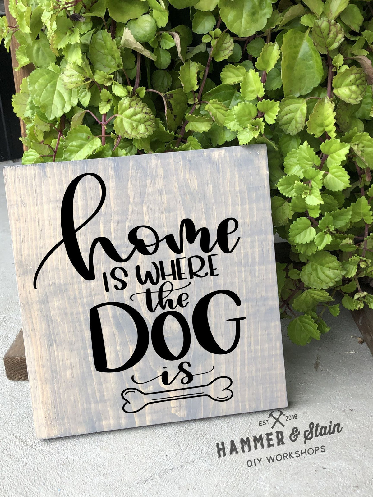 Hammer @ Home - Pet Lovers