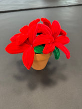 11.12.2025 (7pm)- Pipe Cleaner Bouquet