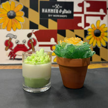 03.22.2025(2pm)-Sea Glass & Candle Succulents Workshop