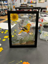 07.27.2025 (5pm) - Pressed Wildflower Frame