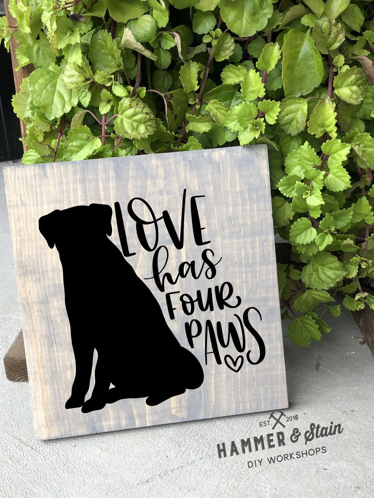 Hammer @ Home - Pet Lovers