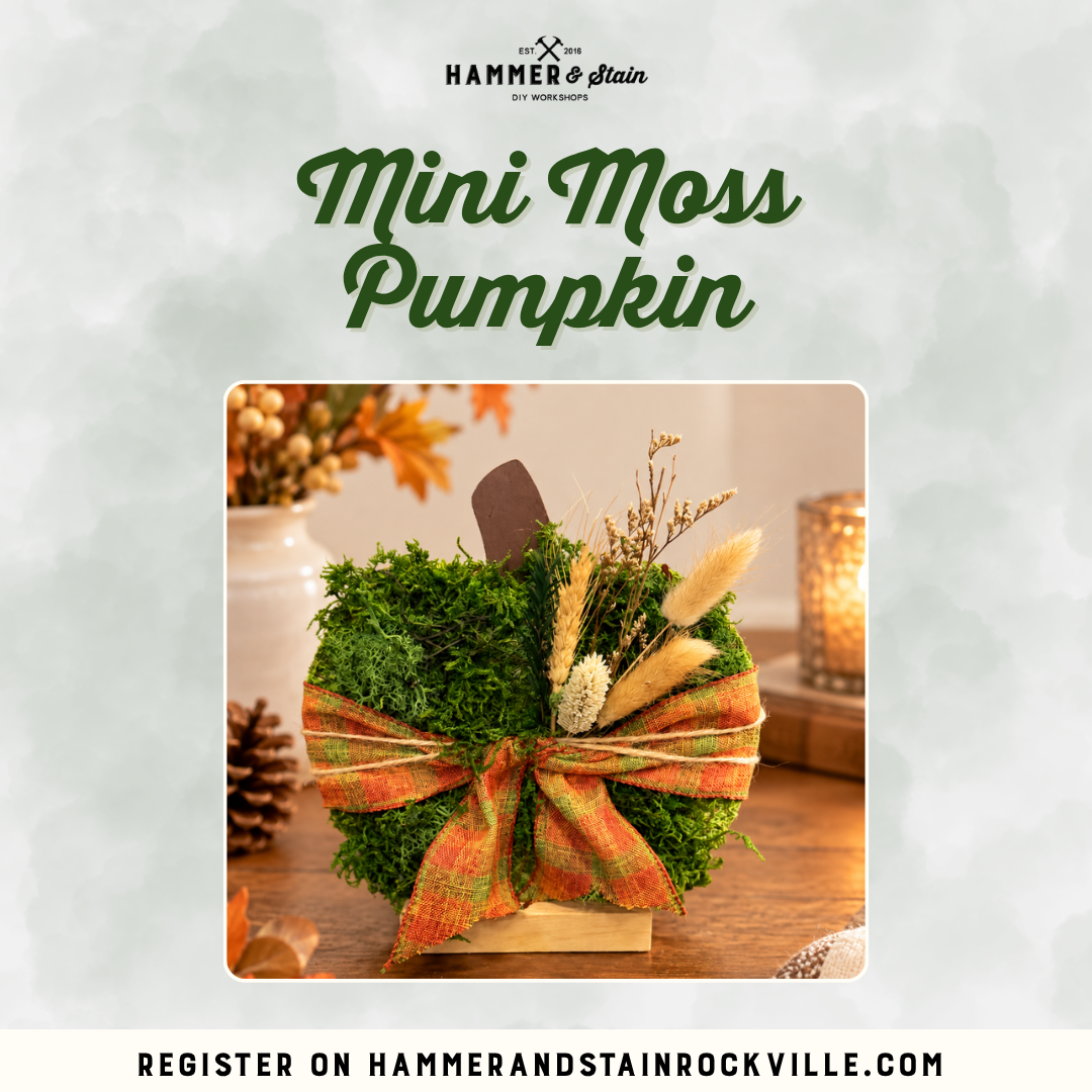 11.08.2026 (2pm)- Mini Moss Pumpkin Centerpiece