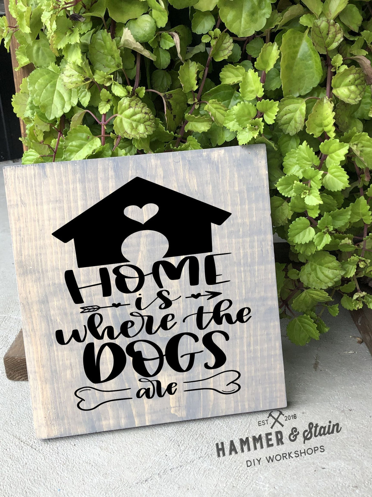 Hammer @ Home - Pet Lovers